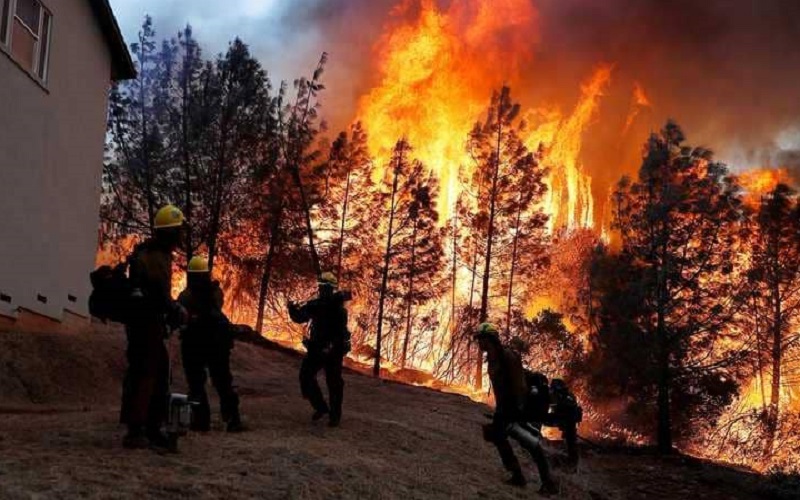 كاليفورنيا تشتعل… 600 حريق يأكل الأخضر واليابس ويطرد السكان – وكالة العهد نيوز